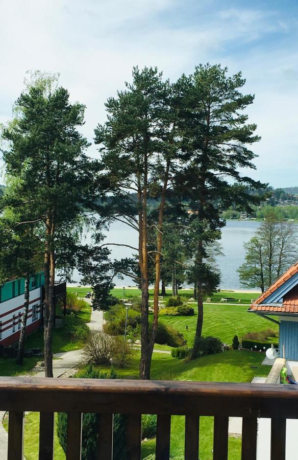 Lipno Beach Apartment リプノ・ナト・ヴルタヴォウ エクステリア 写真